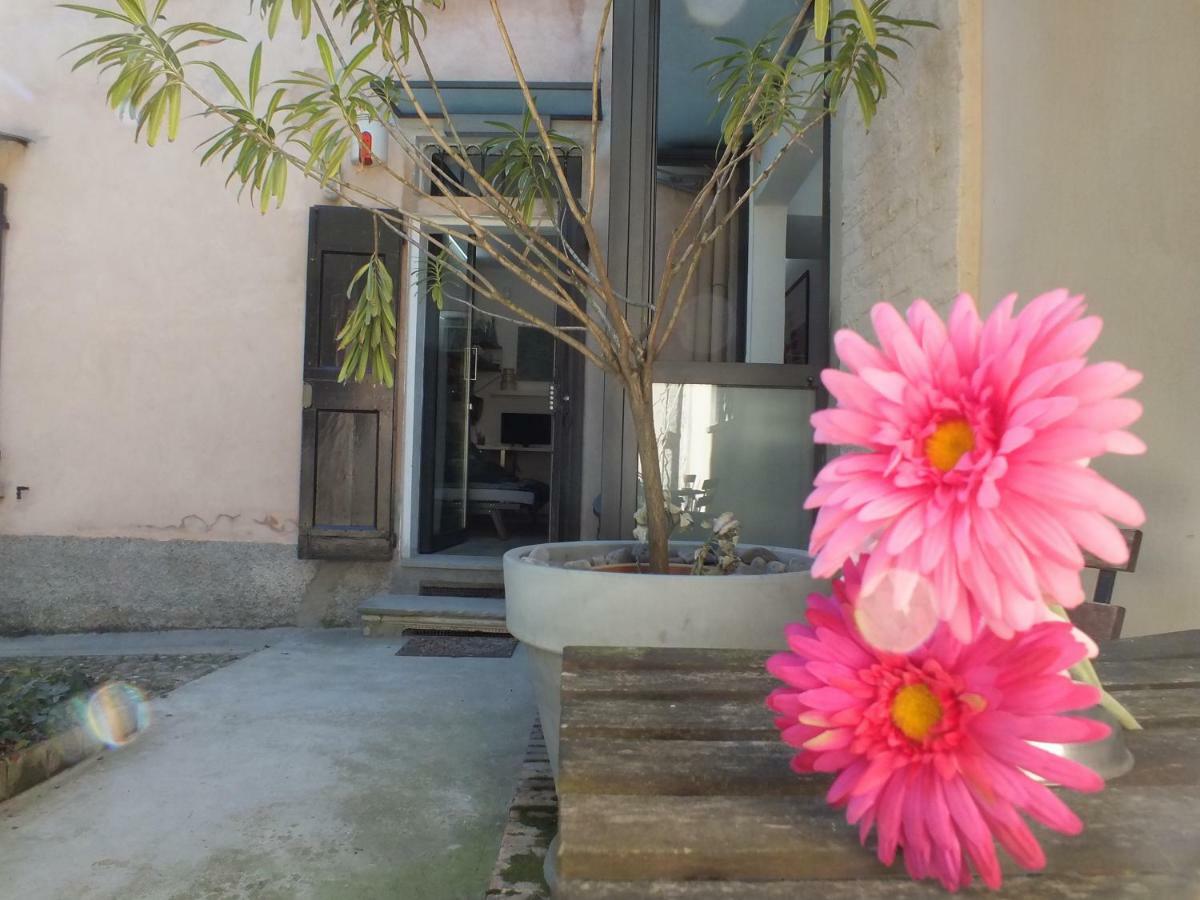 Loft Garden In Bologna'S Heart Ospedale Rizzoli Διαμέρισμα Εξωτερικό φωτογραφία